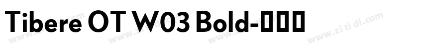 Tibere OT W03 Bold字体转换